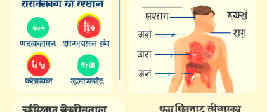 एक सुंदर पहाड़ी पर खड़ा एक युवा व्यक्ति, सूरज की रोशनी में चमकती हरी घास और नीला आकाश।