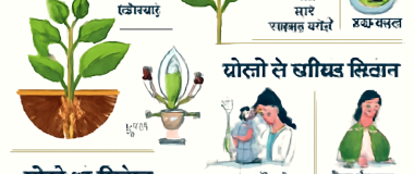 एक सुंदर प्राकृतिक झरना जो हरे-भरे जंगल के बीच खारा पानी में गिर रहा है, और आस-पास रंगीन फूल खिल रहे हैं।